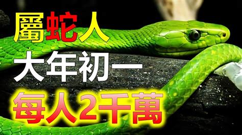 屬蛇適合什麼顏色|【屬蛇 顏色】屬蛇2024專屬配色攻略：揭密幸運色和禁忌色，助。